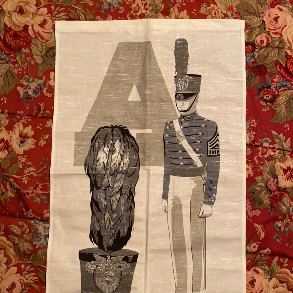 NWT linen towel